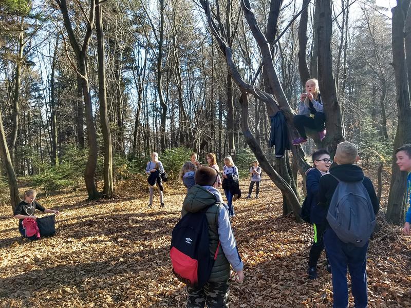 IMG 20181112 104053592 HDR