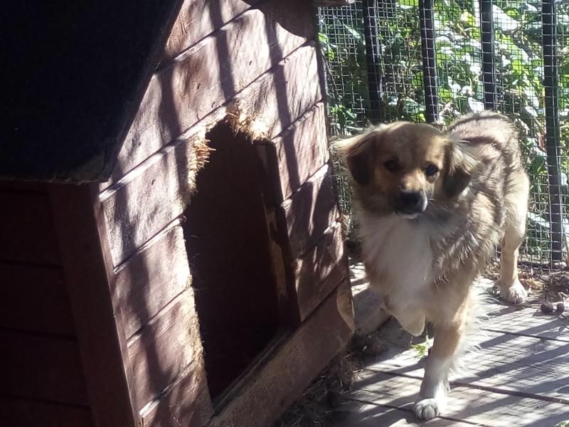 44346342 171515237116758 8078790834750750720 n