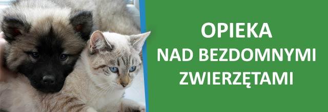 opieka.jpg