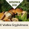 X Wielkie Grzybobranie