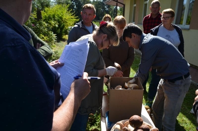 IX Grzybobranie - Wisowa 2019_9