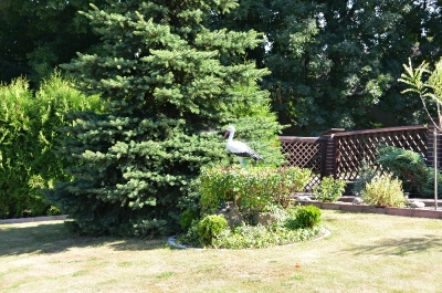 Wyróżniony ogród Pana Józefa Warzechy