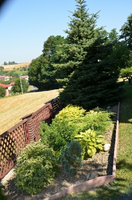 Wyróżniony ogród Pana Józefa Warzechy