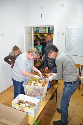 grzybobranie 2018_31